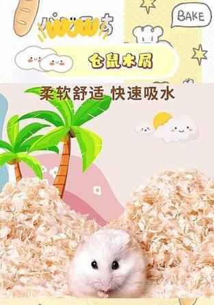 仓鼠垫料选择全攻略：15种类型对比分析指南