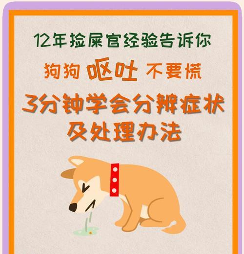 狗狗呕吐原因全解析及处理方法指南