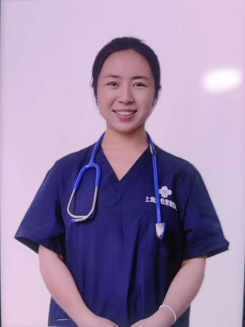 宠物医院优秀员工评选激发团队凝聚力提升服务质量