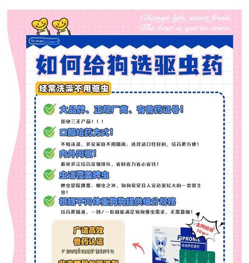 如何正确给狗狗驱虫（保护狗狗免受内外寄生虫侵害，关键在于合理的打针策略）