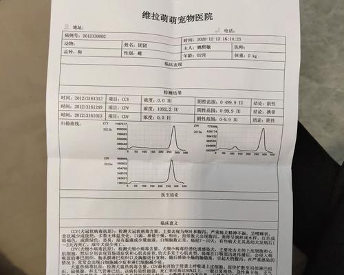 狗滴虫治疗时长究竟需要多久？（揭开治疗狗滴虫的时间之谜）