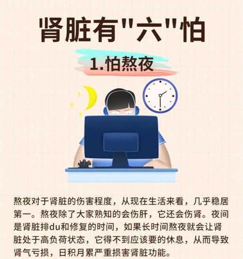 狗狗肾脏疾病危害及预防指南：守护宠物肾脏健康