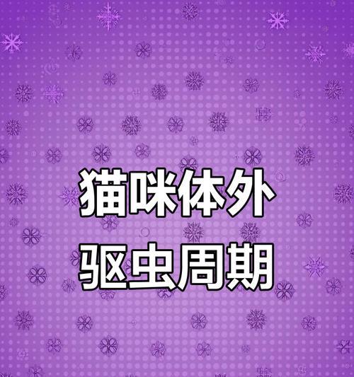 猫咪驱虫周期详解：幼猫成猫不同阶段驱虫间隔时间指南