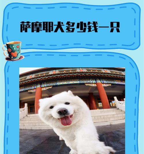 萨摩犬寿命多少岁？全面解析萨摩耶生长发育各阶段护理要点