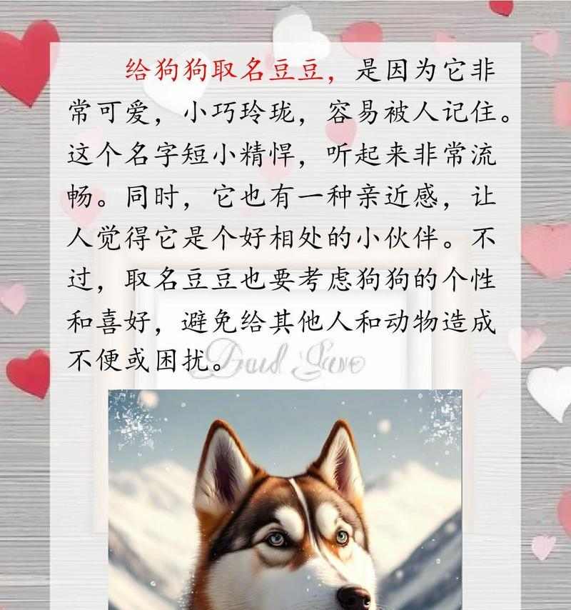 狗能记住主人名字多久？揭秘狗狗记忆力的奥秘与限制