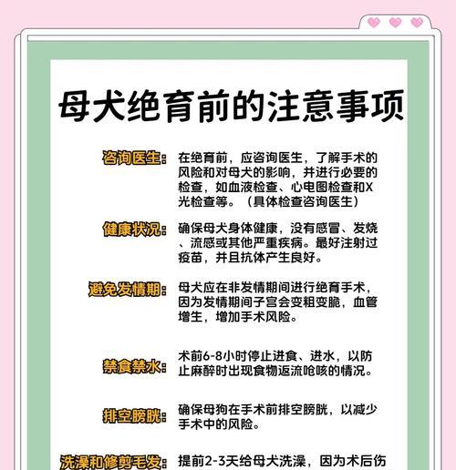 小狗伤口处理后多久能洗澡？恢复时间与护理要点详解