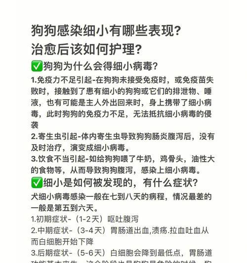 细小病毒感染后多久能打疫苗？不同阶段接种时间指南