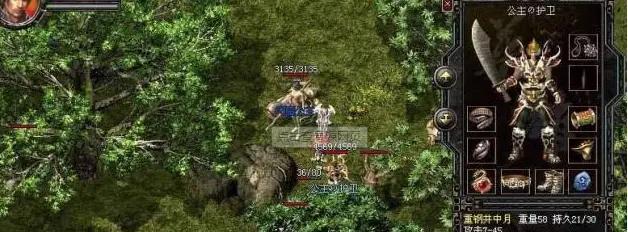 长途旅行带猫咪禁食时间安排与安全注意事项