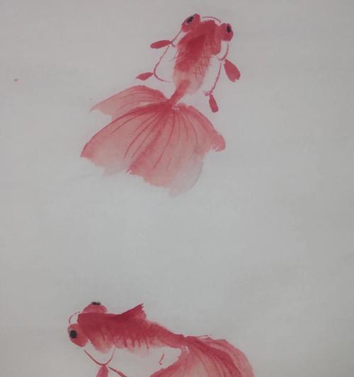 十大最美金鱼品种鉴赏：珍珠鳞蝶尾龙睛等观赏鱼大全