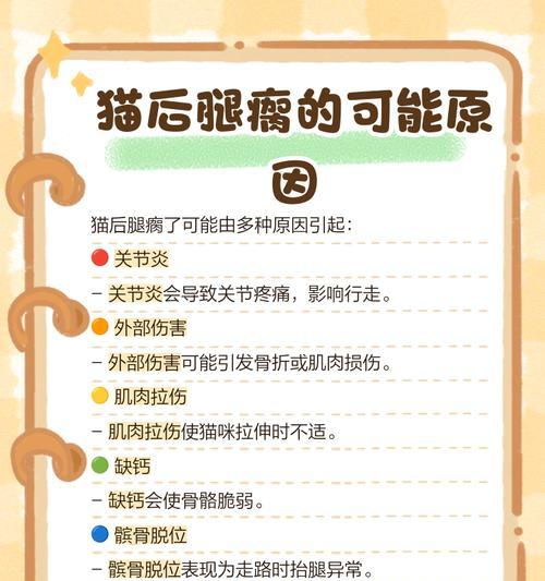 猫咪摔落时为何总能脚着地？揭秘猫族天生反摔技能的科学奥秘