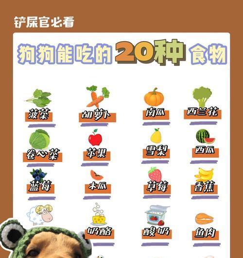 狗狗吃胡萝卜的营养价值与食用注意事项