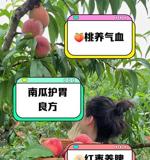 以马犬毛发护理指南：食疗方法让毛发柔顺光滑