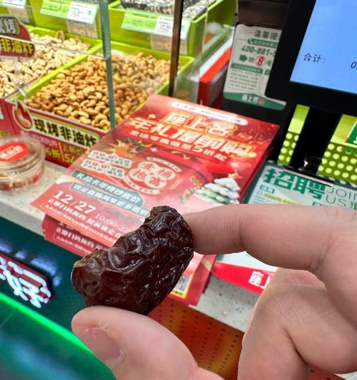 冬季仓鼠喂食频率指南：科学饲养保健康