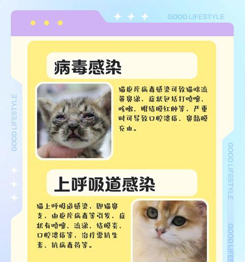 蓝猫打喷嚏流鼻涕怎么办？猫咪感冒预防护理全攻略