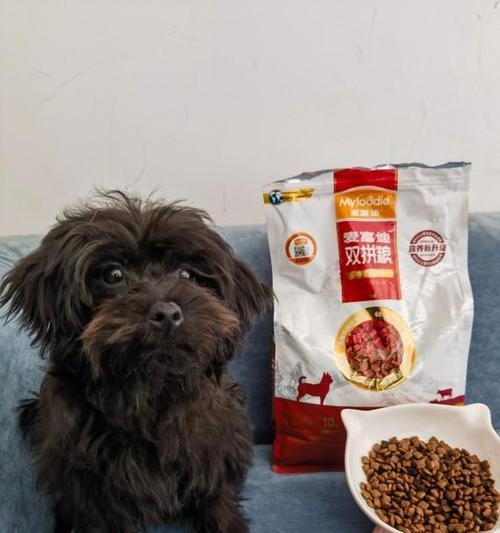 狗狗冠状病毒预防治疗全攻略，守护爱宠健康指南