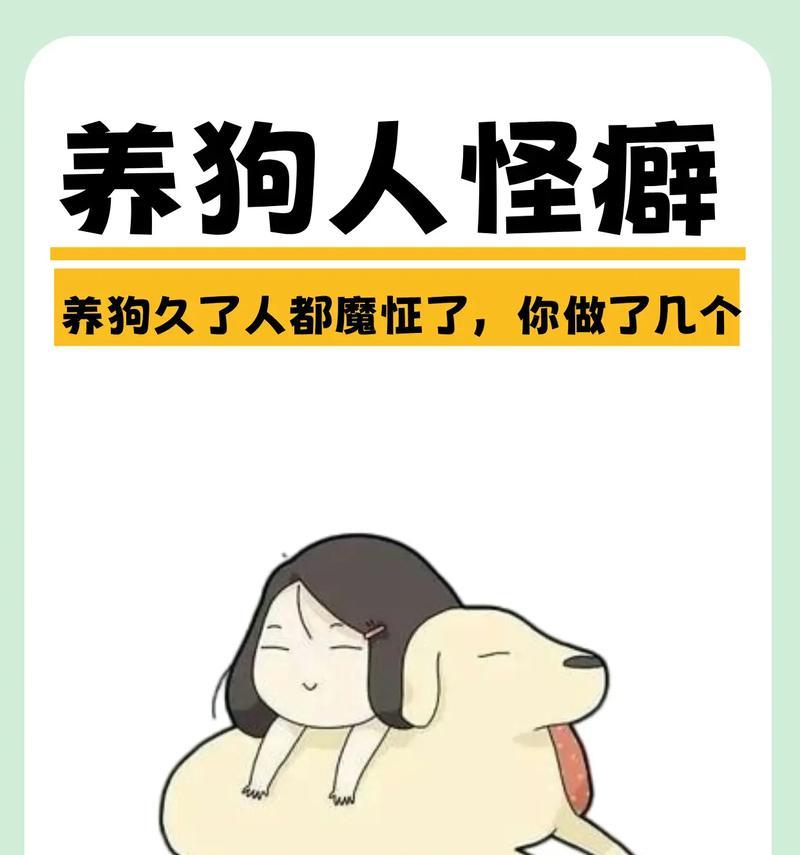 5种有效去除狗味方法，让家恢复清新空气