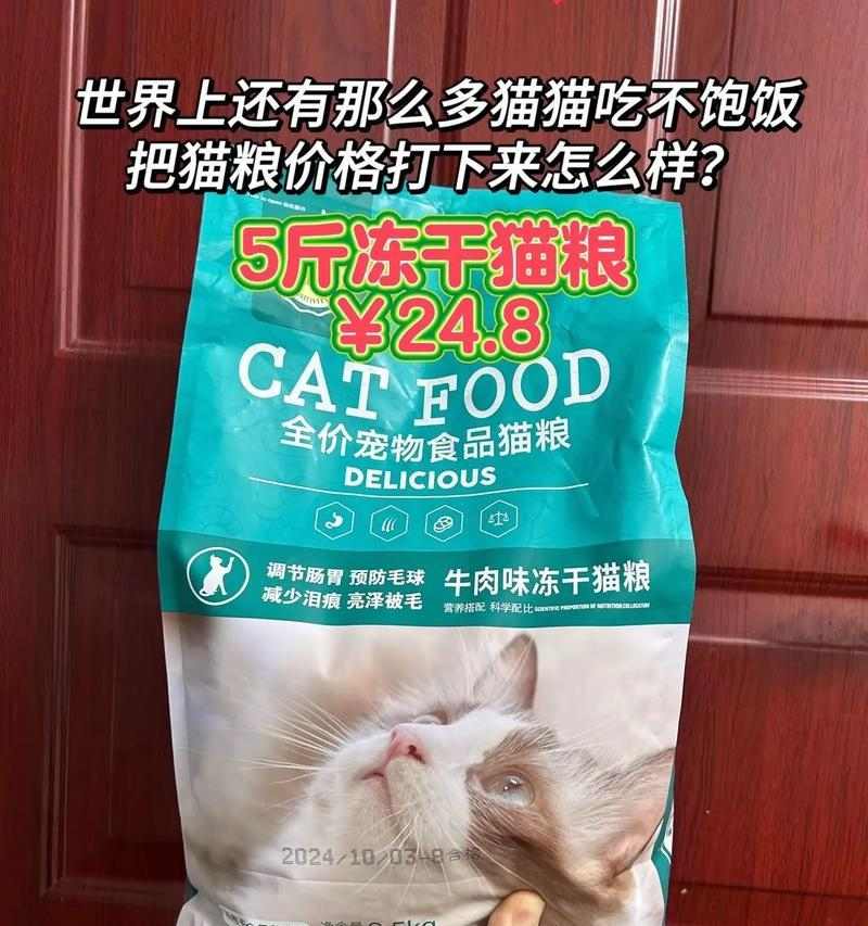 猫咪只吃猫粮能活多久？科学喂养延长寿命的关键因素