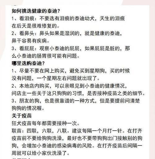 泰迪犬秋季饲养注意事项，科学养护保健康