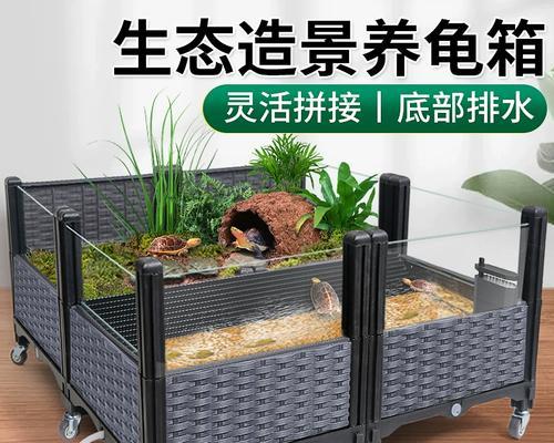 黄缘龟饲养全攻略：环境水质饮食管理要点详解