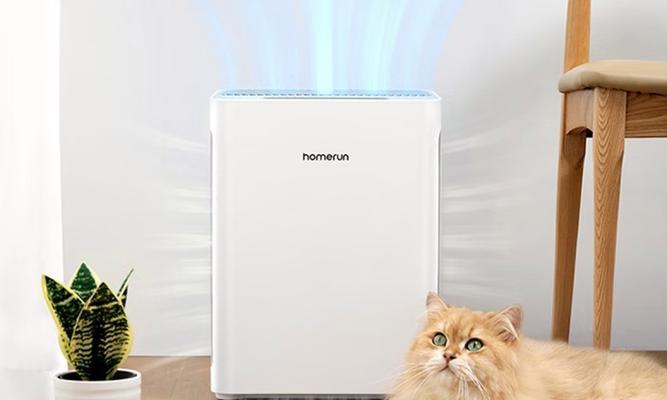 优质宠物用品品牌推荐指南，全面提升爱宠生活品质