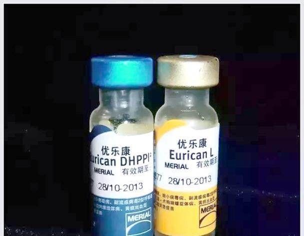 六联狗疫苗接种时间间隔详解，幼犬免疫程序全攻略