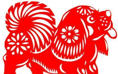 狗狗拉红色血便怎么办？治疗决策指南