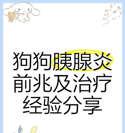 狗狗胰腺炎复查时间安排指南：治疗效果评估关键要点