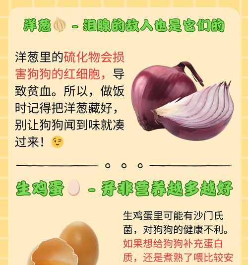 狗狗能吃冰淇淋吗？安全选择与注意事项全攻略