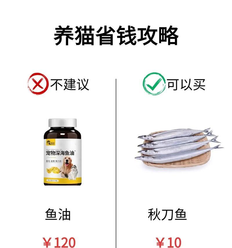 猫咪营养不良怎么办？症状与饮食调理全攻略