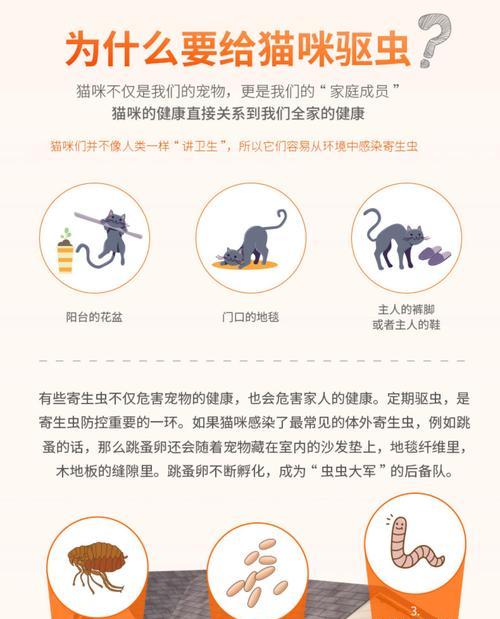 小猫驱虫滴剂后多久洗澡？48小时黄金等待期详解