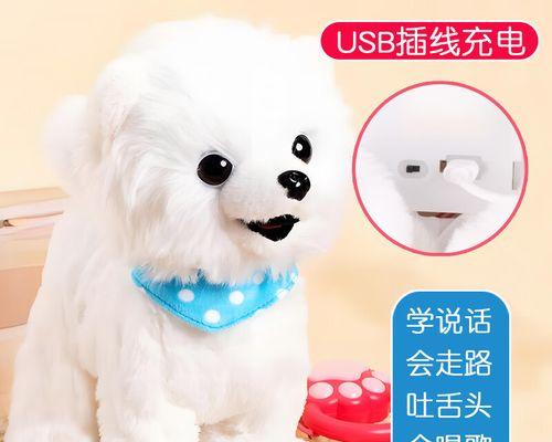 狗舔狗的行为背后：揭示友谊与真实关系的深刻意义