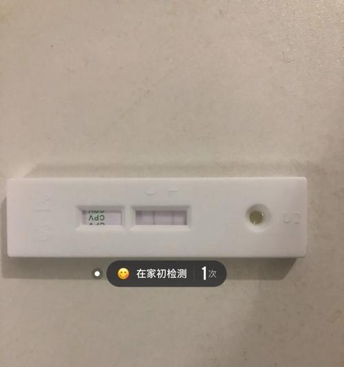 狗瘟血清有效吗？使用时机与安全性全面解析