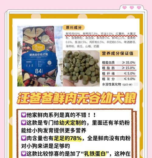 比熊犬吃完多久拉屎？详解消化周期与排便规律