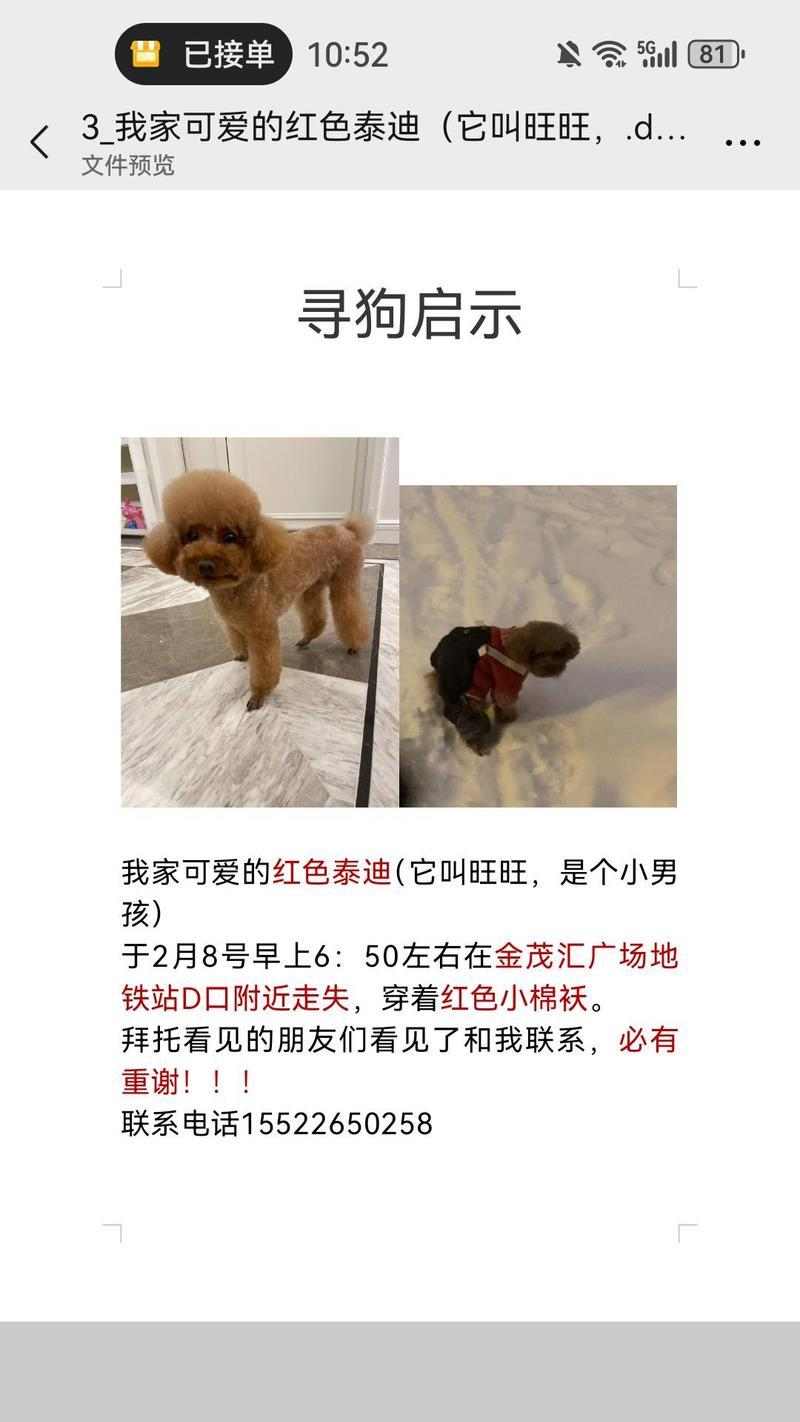 狗狗走失不用慌：15个高效寻回方法助你与爱宠重聚