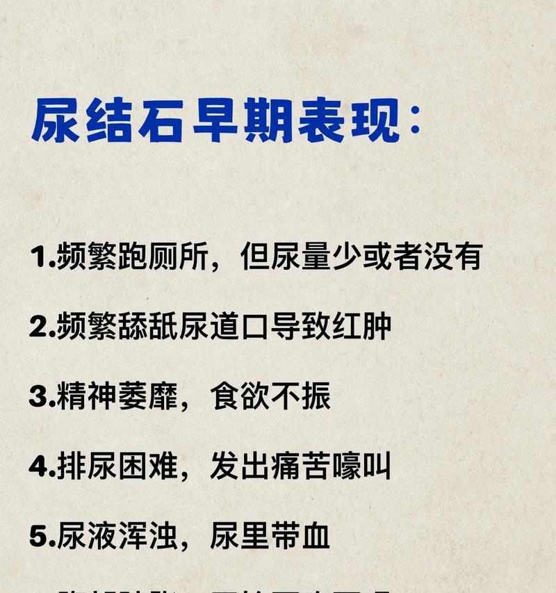 狗狗结石的15个常见症状及预防方法