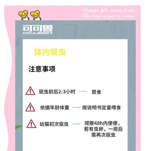 猫咪多久驱虫一次？成年猫与幼猫的正确驱虫周期