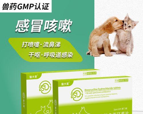 小狗感冒咳嗽吃什么药？安全用药与家庭护理指南