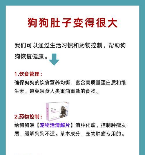 狗狗胃炎有哪些症状？这些治疗方法需了解