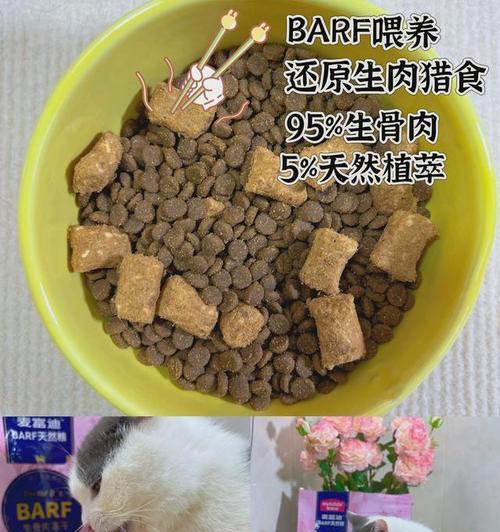 猫皮屑问题怎么解决？15个有效方法改善猫咪皮肤健康