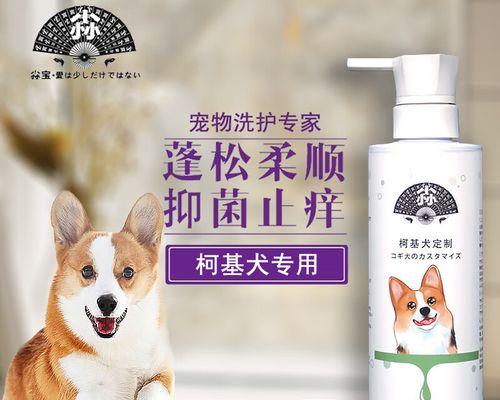 柯基犬洗澡指南：选择合适洗澡水与正确护理步骤详解