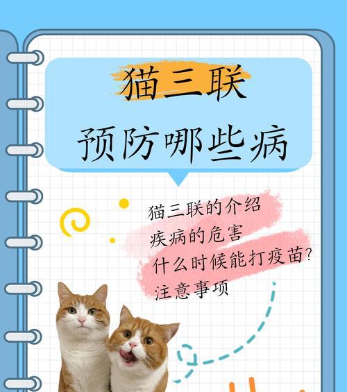小猫拉稀原因及治疗方法详解，呵护幼猫肠胃健康