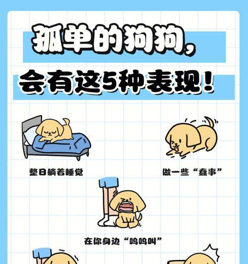 狗狗无精打采的原因分析及恢复活力的全面解决方案