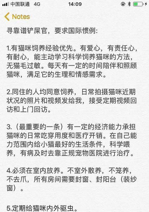 猫绝育术后多久能喝水？术后护理及饮水时间全攻略