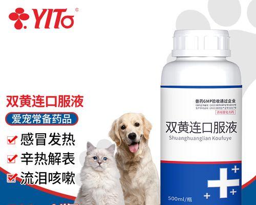 狗狗拉肚子打喷嚏怎么用药治疗，常见宠物健康问题解决方法