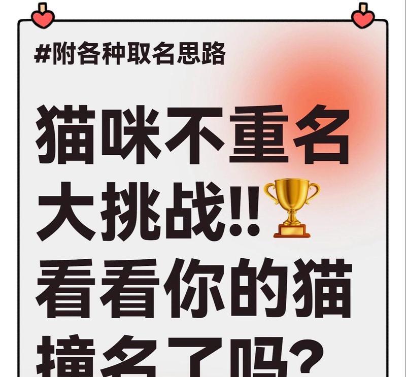15种性格猫咪取名指南：根据小猫个性特点推荐专属名字