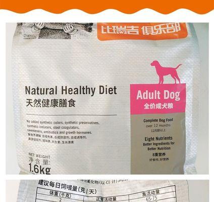 泰迪换狗粮适应期指南：安全过渡的15个关键步骤