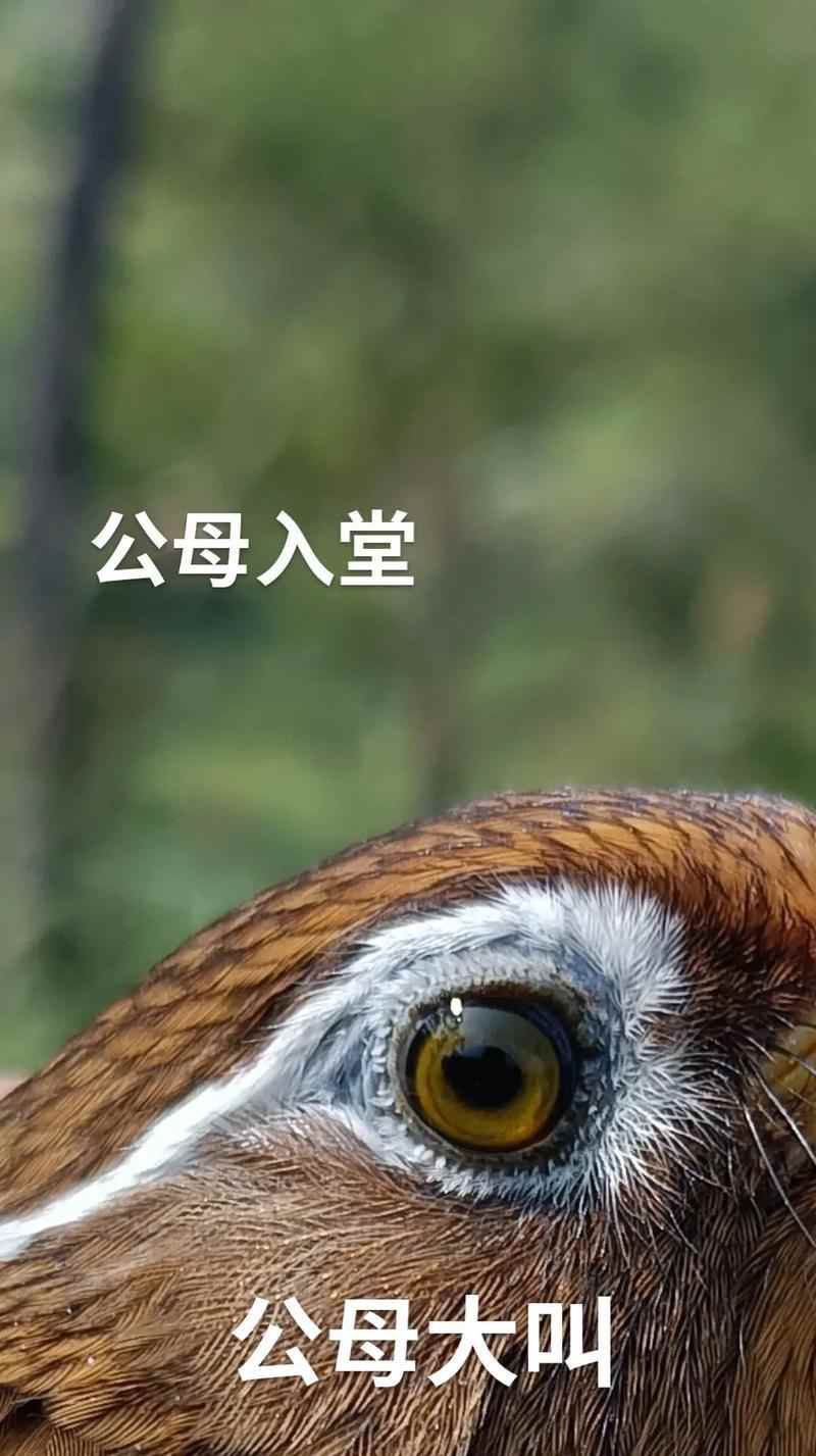 文章详情图片