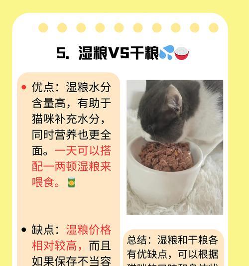 幼猫一天睡多久合适？18-20小时睡眠对发育至关重要
