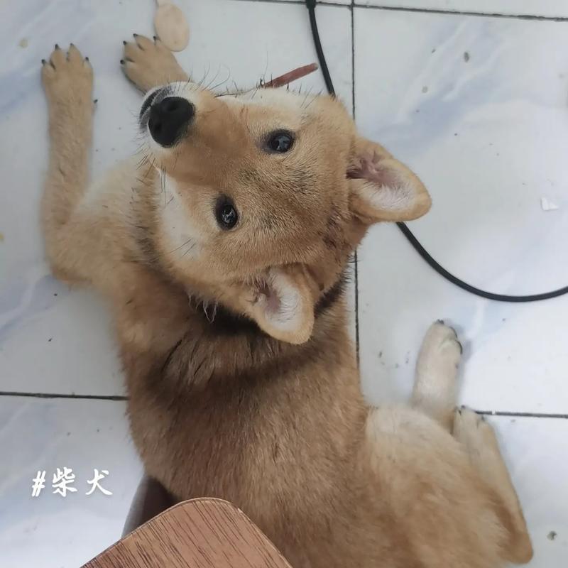文章详情图片