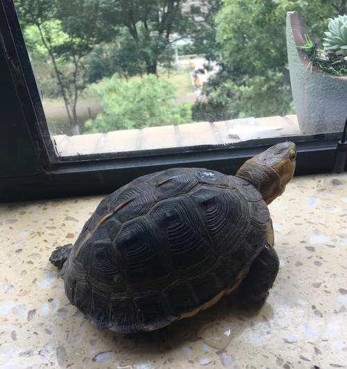 文章详情图片
